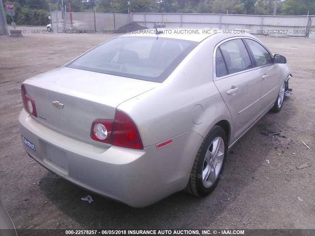 1G1ZB5E12BF242250 - 2011 CHEVROLET MALIBU LS Qızıl foto 4
