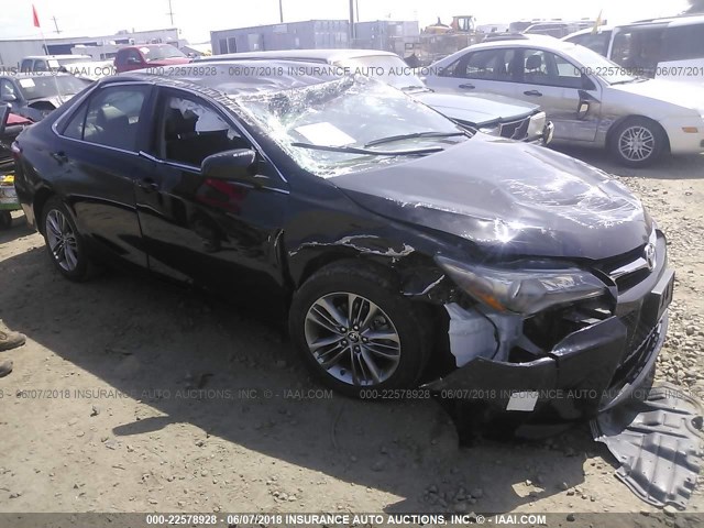 4T1BF1FKXFU065764 - 2015 TOYOTA CAMRY LE/XLE/SE/XSE BLACK photo 1