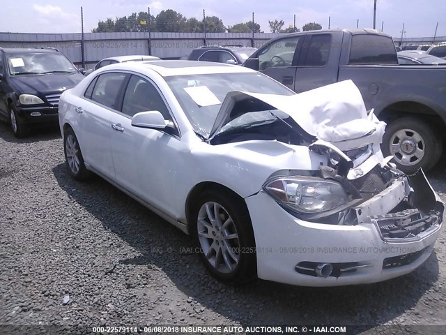 1G1ZE5E73BF245959 - 2011 CHEVROLET MALIBU LTZ 白色 照片 1