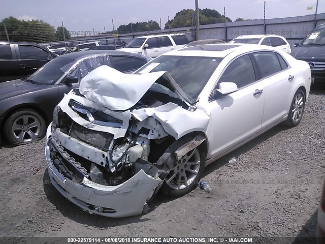 1G1ZE5E73BF245959 - 2011 CHEVROLET MALIBU LTZ 白色 照片 2