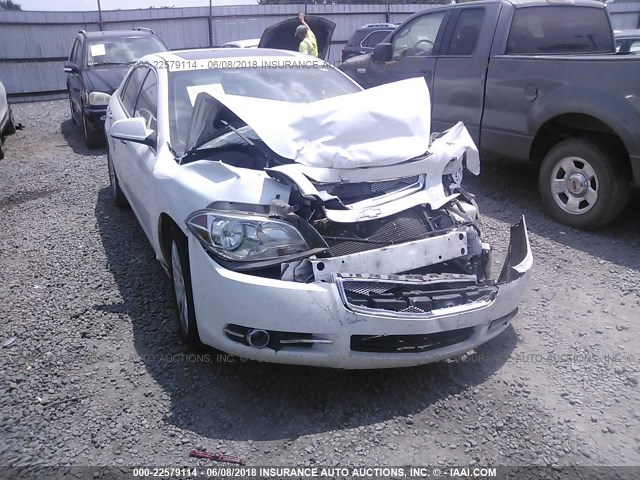 1G1ZE5E73BF245959 - 2011 CHEVROLET MALIBU LTZ 白色 照片 6