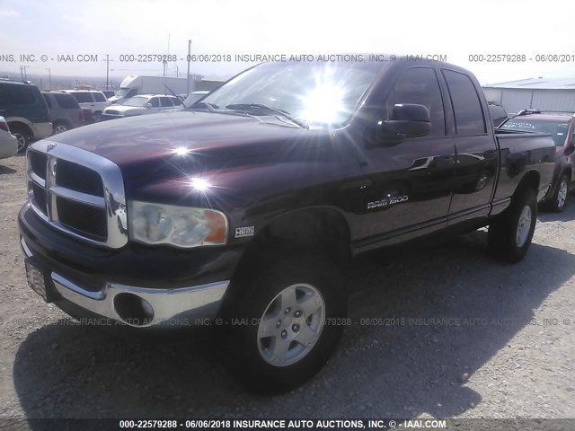 1D7HU18D95S258250 - 2005 DODGE RAM 1500 ST/SLT PURPLE photo 2