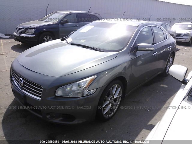 1N4AA5AP7AC828532 - 2010 NISSAN MAXIMA S/SV GRAY photo 2