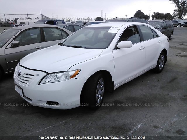 4T1BE46K17U512696 - 2007 TOYOTA CAMRY NEW GENERAT CE/LE/XLE/SE WHITE photo 2