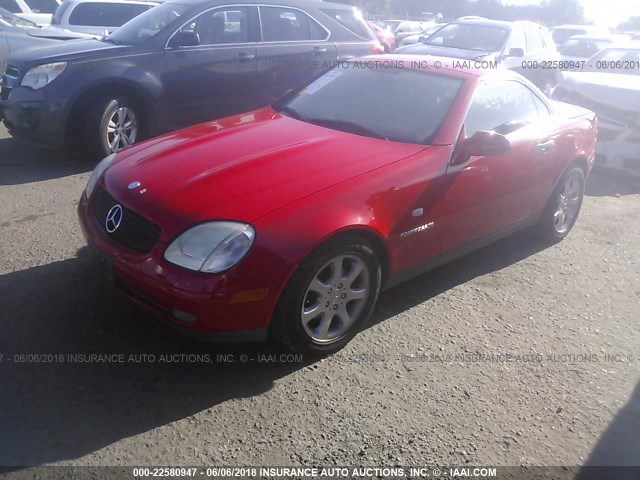 WDBKK47F2XF117217 - 1999 MERCEDES-BENZ SLK 230 KOMPRESSOR RED photo 2