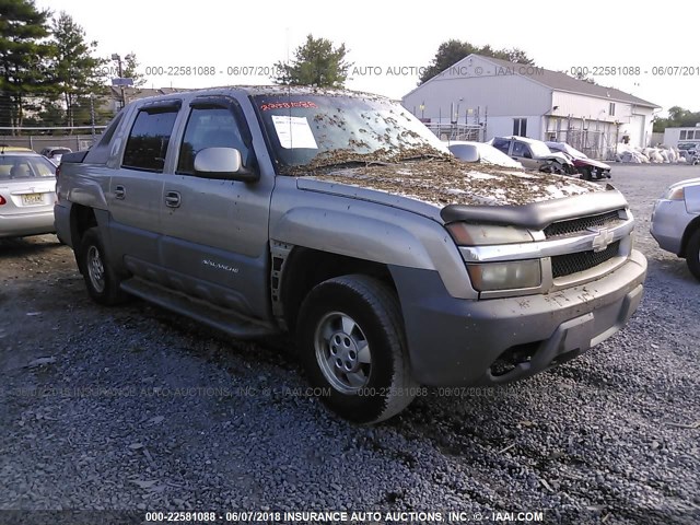 3GNEC13T02G349982 - 2002 CHEVROLET AVALANCHE C1500 GRAY photo 1