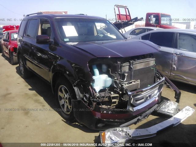 5FNYF48989B023049 - 2009 HONDA PILOT TOURING PURPLE photo 1