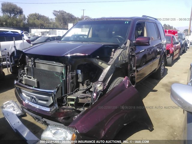 5FNYF48989B023049 - 2009 HONDA PILOT TOURING PURPLE photo 2