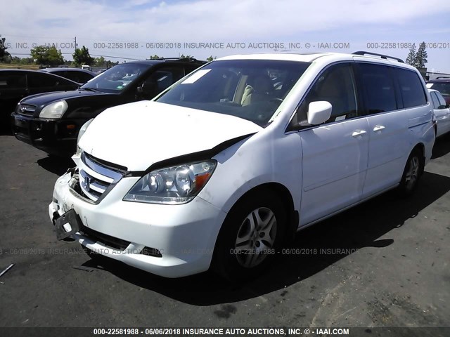 5FNRL38606B456454 - 2006 HONDA ODYSSEY EXL WHITE photo 2