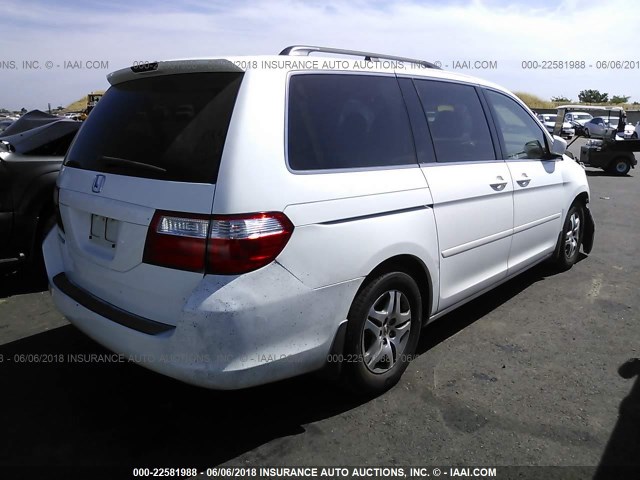 5FNRL38606B456454 - 2006 HONDA ODYSSEY EXL WHITE photo 4