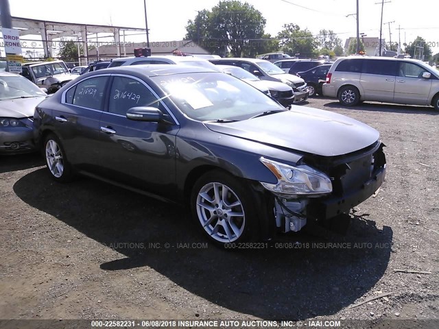 1N4AA51E49C836999 - 2009 NISSAN MAXIMA S/SV GRAY photo 1