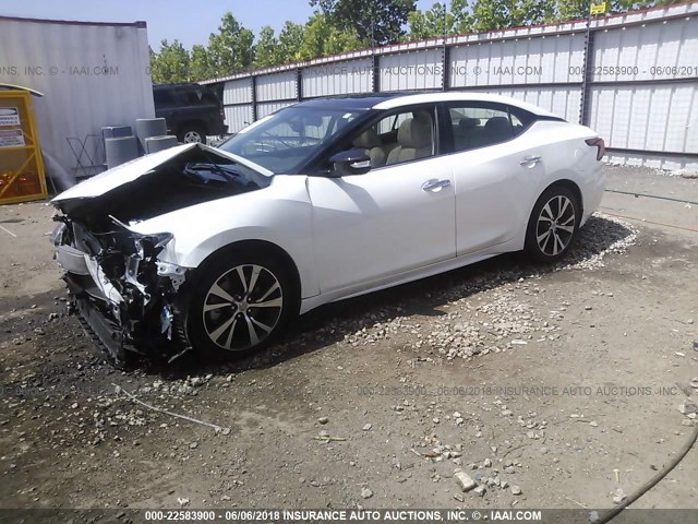 1N4AA6AP7GC900408 - 2016 NISSAN MAXIMA 3.5S/3.5SV/3.5SL/3.5 SR/3 WHITE photo 2