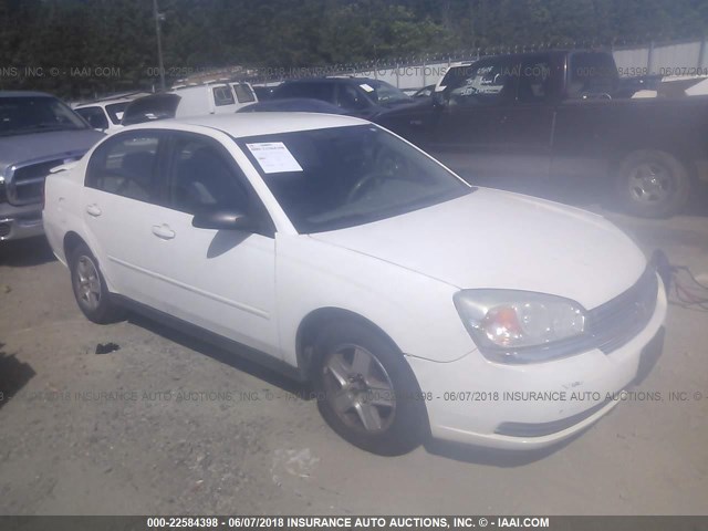 1G1ZT52885F100178 - 2005 CHEVROLET MALIBU LS 白色 照片 1