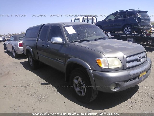 5TBRT34143S391487 - 2003 TOYOTA TUNDRA ACCESS CAB SR5 GRAY photo 1