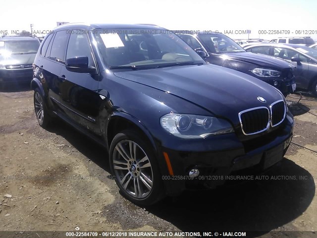 5UXZV4C5XBL404432 - 2011 BMW X5 XDRIVE35I BLACK photo 1