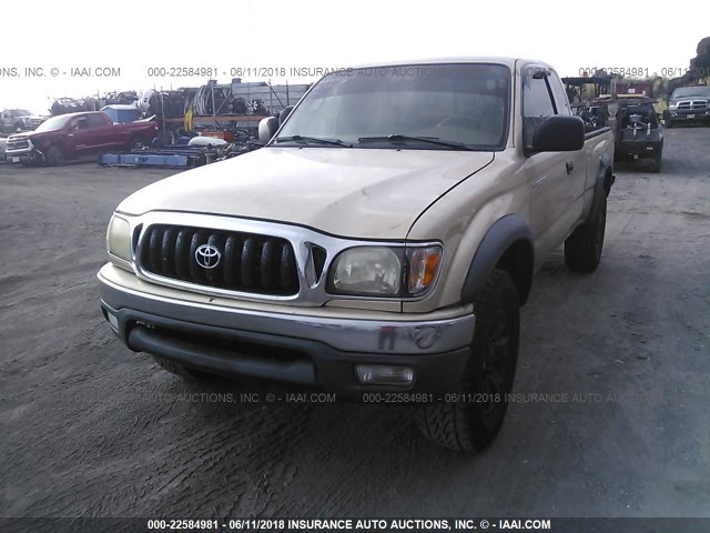 5TEWN72NX4Z440052 - 2004 TOYOTA TACOMA XTRACAB GOLD photo 5