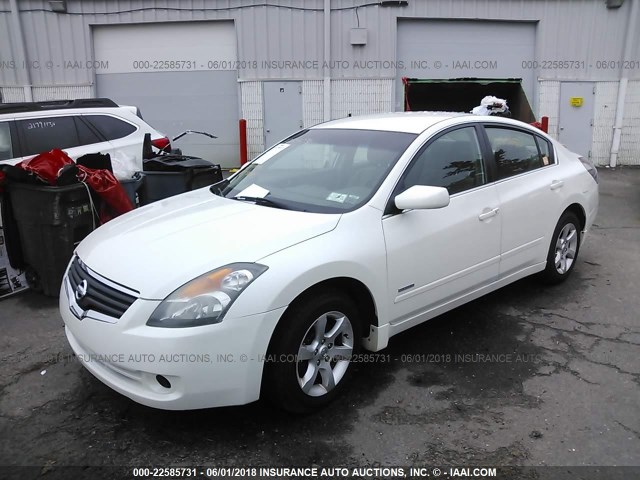 1N4CL21E37C168983 - 2007 NISSAN ALTIMA HYBRID WHITE photo 2