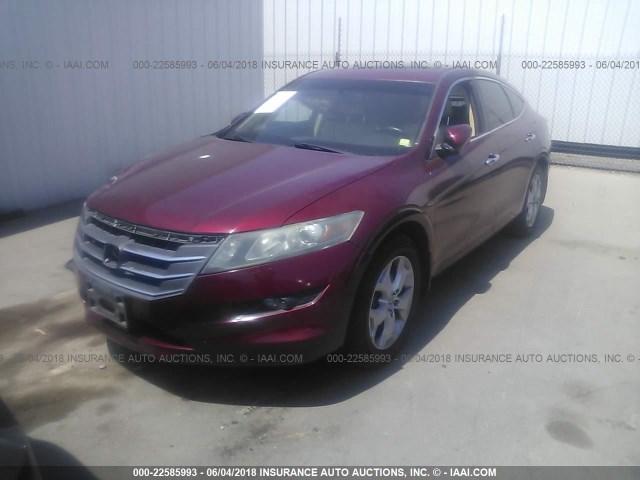 5J6TF1H58AL004678 - 2010 HONDA ACCORD CROSSTOUR EXL RED photo 2