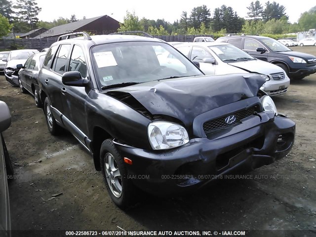 KM8SB12B43U566470 - 2003 HYUNDAI SANTA FE GL BLACK photo 1