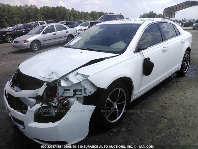 1G1ZB5E04CF113628 - 2012 CHEVROLET MALIBU LS WHITE photo 2