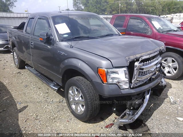 1FTFX1CF4DKG40136 - 2013 FORD F150 SUPER CAB GRAY photo 1