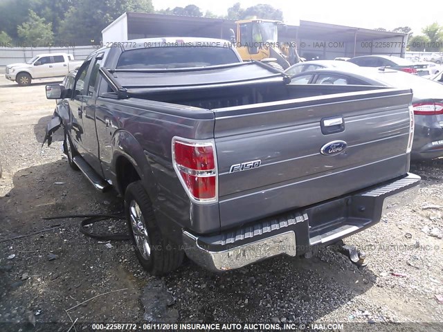 1FTFX1CF4DKG40136 - 2013 FORD F150 SUPER CAB GRAY photo 3