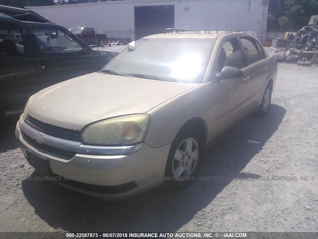 1G1ZT52894F216004 - 2004 CHEVROLET MALIBU LS 金色 照片 2