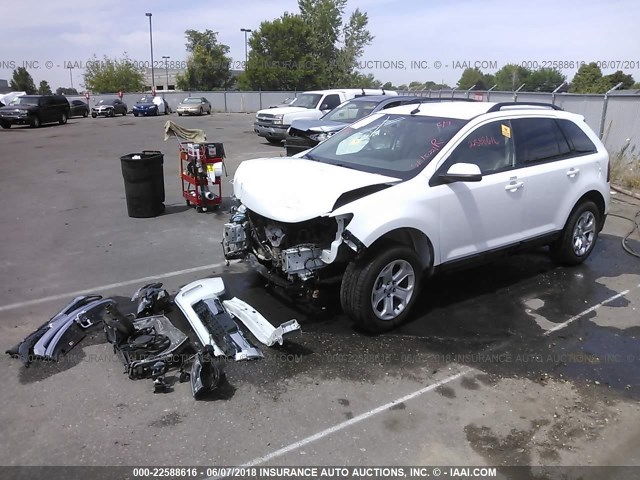 2FMDK4JC0EBA20066 - 2014 FORD EDGE SEL WHITE photo 2