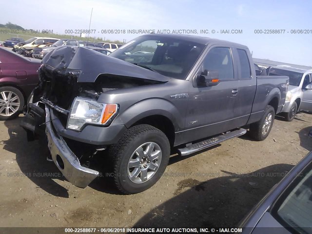 1FTFX1ET3DKD31065 - 2013 FORD F150 SUPER CAB GRAY photo 2