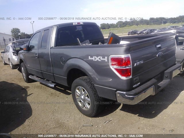 1FTFX1ET3DKD31065 - 2013 FORD F150 SUPER CAB GRAY photo 3