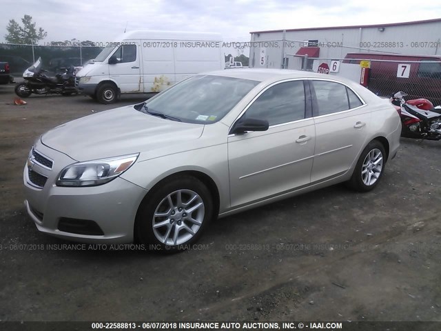 1G11B5SA6DF170909 - 2013 CHEVROLET MALIBU LS BEIGE photo 2