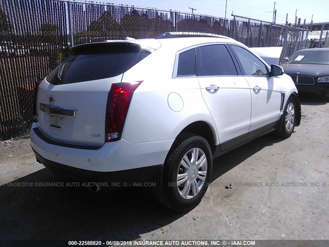 3GYFNCE38DS610723 - 2013 CADILLAC SRX LUXURY COLLECTION WHITE photo 4