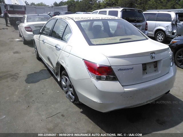 1HGCP368X8A067896 - 2008 HONDA ACCORD EXL WHITE photo 3