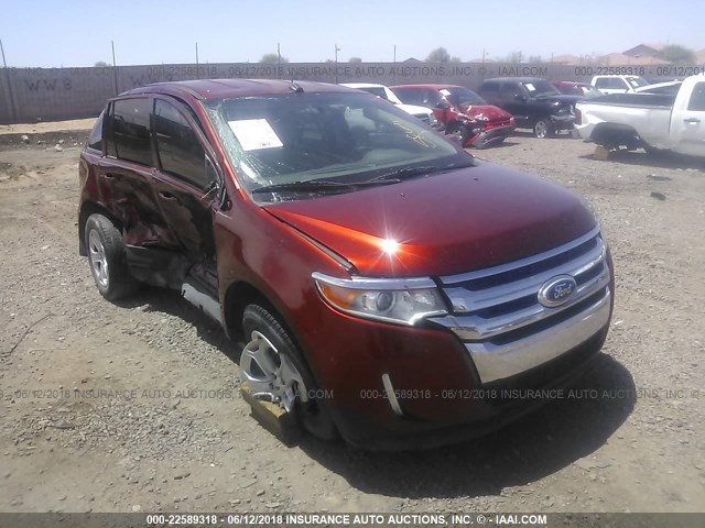 2FMDK3JC4EBA07198 - 2014 FORD EDGE SEL ORANGE photo 1