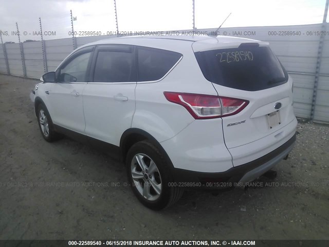 1FMCU0G90DUC26944 - 2013 FORD ESCAPE SE WHITE photo 3