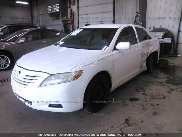4T1BE46KX7U675251 - 2007 TOYOTA CAMRY NEW GENERAT CE/LE/XLE/SE WHITE photo 2