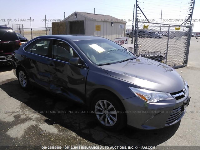 4T1BF1FK3HU300508 - 2017 TOYOTA CAMRY LE/XLE/SE/XSE GRAY photo 1