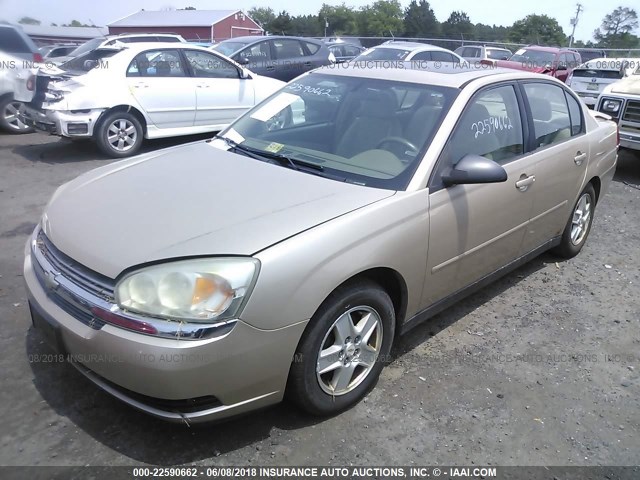 1G1ZT548X5F177387 - 2005 CHEVROLET MALIBU LS 棕色 照片 2