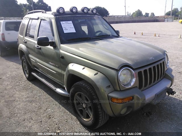 1J4GK38KX2W333459 - 2002 JEEP LIBERTY RENEGADE 绿色 照片 1