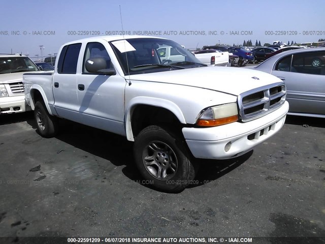 1D7HG38N33S170786 - 2003 DODGE DAKOTA QUAD SPORT WHITE photo 1