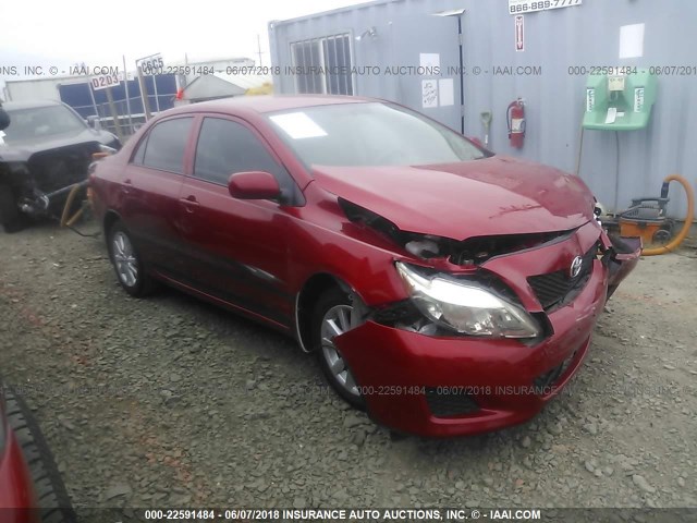 JTDBL40E29J036797 - 2009 TOYOTA COROLLA LE/XLE RED photo 1
