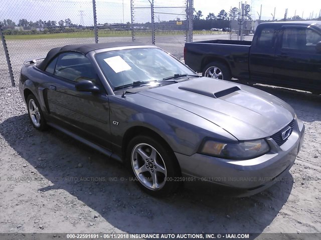 1FAFP45XX3F420214 - 2003 FORD MUSTANG GT GRAY photo 1