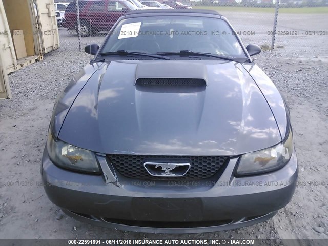 1FAFP45XX3F420214 - 2003 FORD MUSTANG GT GRAY photo 6