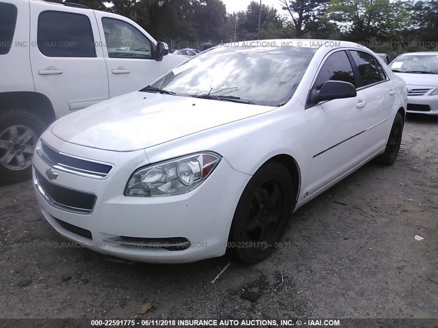 1G1ZG57B59F155198 - 2009 CHEVROLET MALIBU LS WHITE photo 2