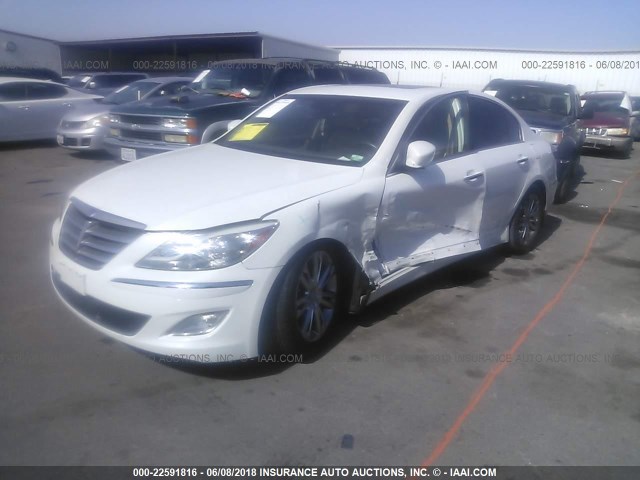 KMHGC4DD7CU208377 - 2012 HYUNDAI GENESIS 3.8L WHITE photo 2