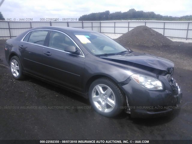 1G1ZA5E05CF388024 - 2012 CHEVROLET MALIBU LS Boz foto 1