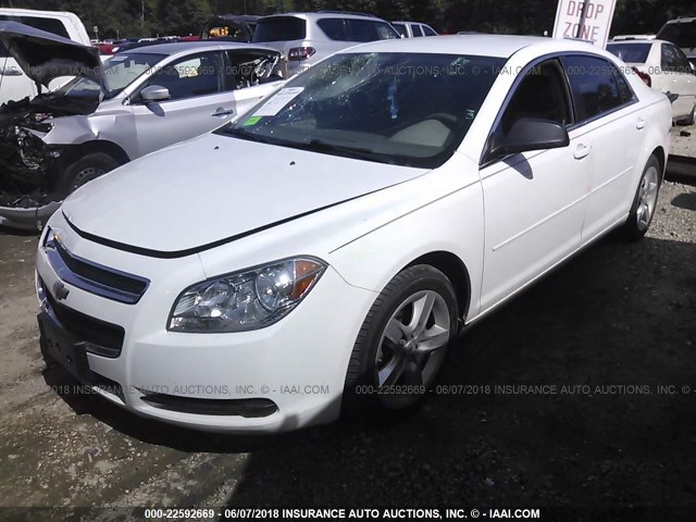 1G1ZB5E06CF216078 - 2012 CHEVROLET MALIBU LS WHITE photo 2