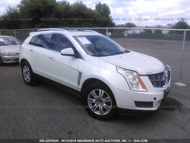 3GYFNAEY2BS598761 - 2011 CADILLAC SRX LUXURY COLLECTION WHITE photo 1