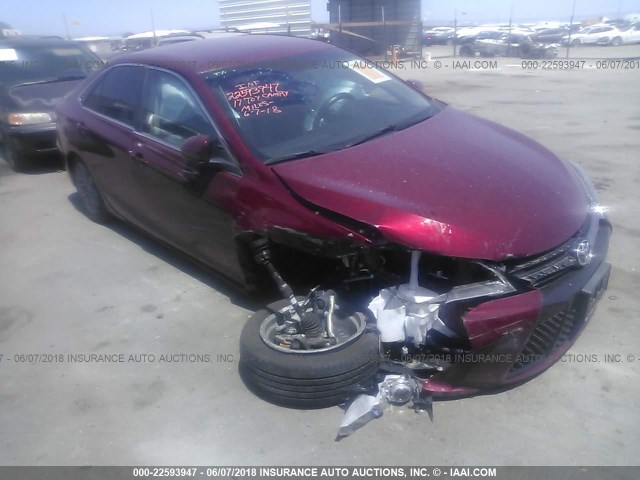 4T1BF1FK9HU640973 - 2017 TOYOTA CAMRY LE/XLE/SE/XSE 红色 照片 1