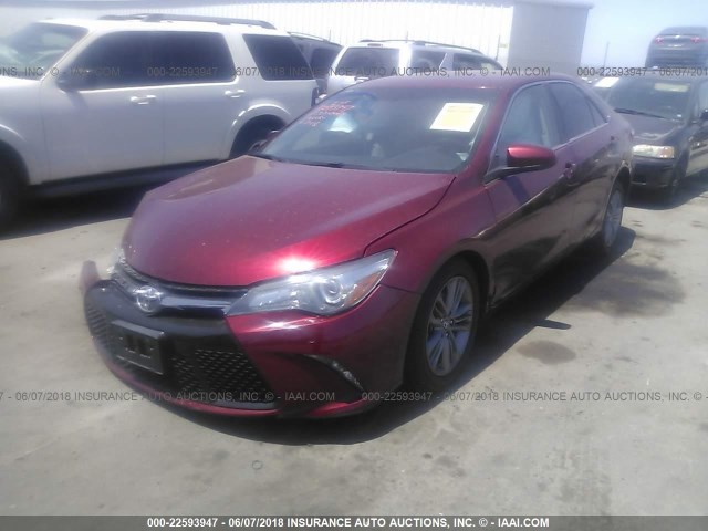 4T1BF1FK9HU640973 - 2017 TOYOTA CAMRY LE/XLE/SE/XSE 红色 照片 2